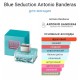 Antonio Banderas blue seduction edt L 80ml
